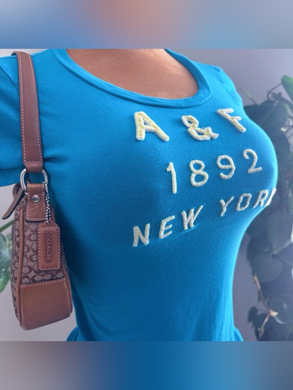 Y2K Abercrombie & Fitch 1892 New York Blue Fitted Baby Tee Size Small